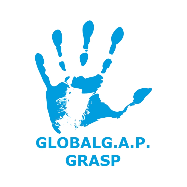 grasp