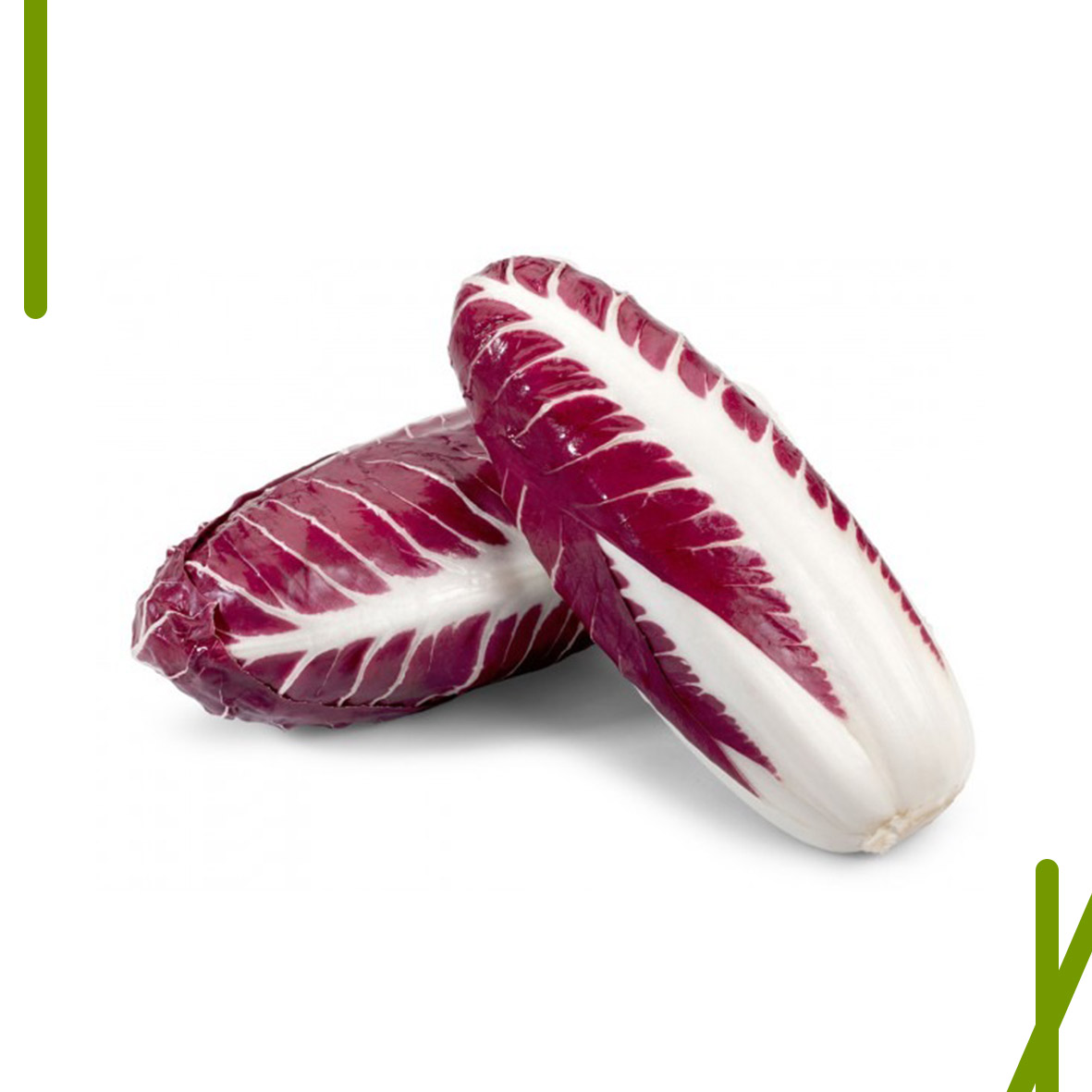 RADICCHIO