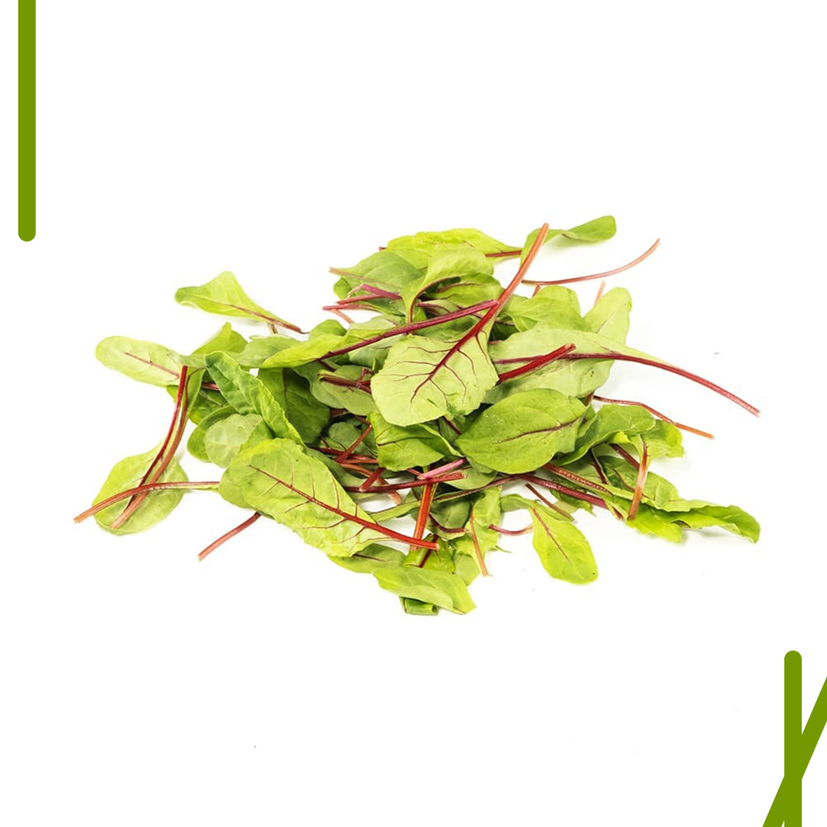 RED CHARD