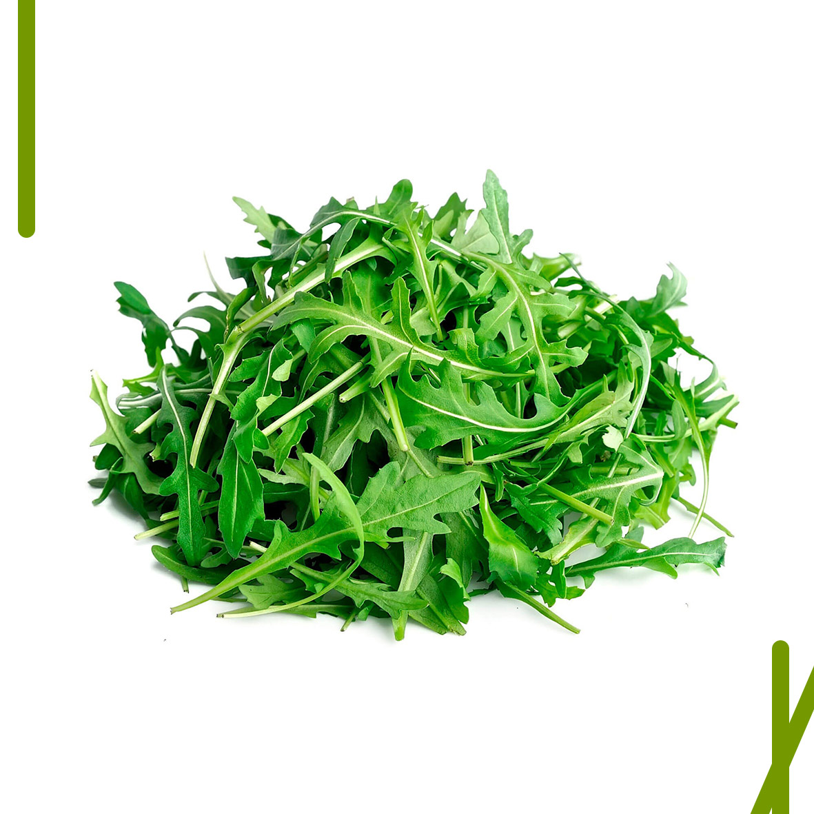 RUCOLA